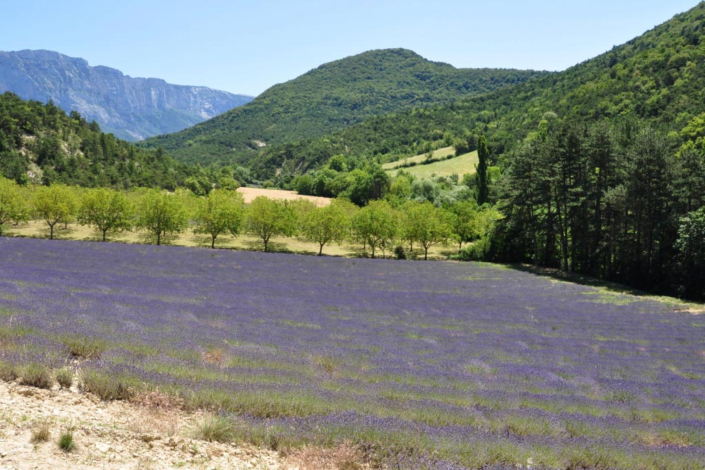 Vercors
